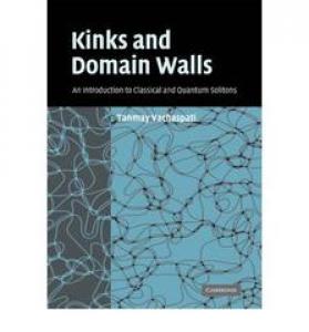 Kinks and Domain Walls