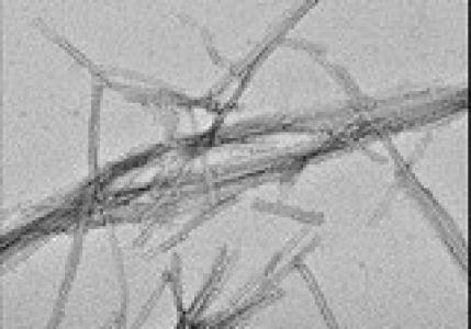 Lab Image