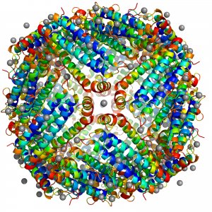 Lab Image
