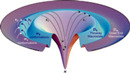 Biological Systems