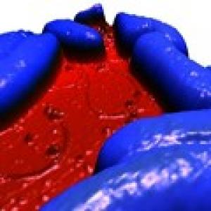 Cell Mechanics