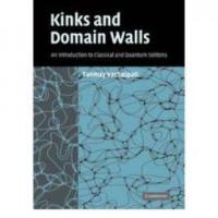 Kinks and Domain Walls