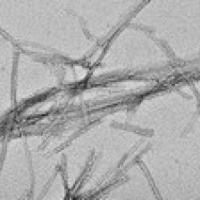 Lab Image 
