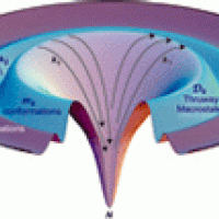 Biological Systems